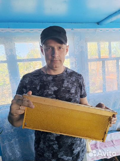 Свежий мед 2024 года