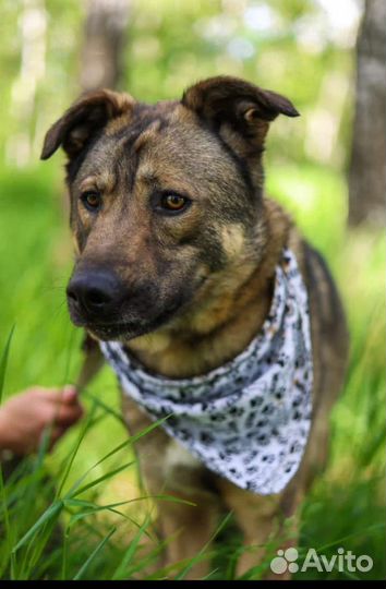 Забери меня