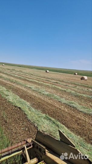 Продам сено в рулонах