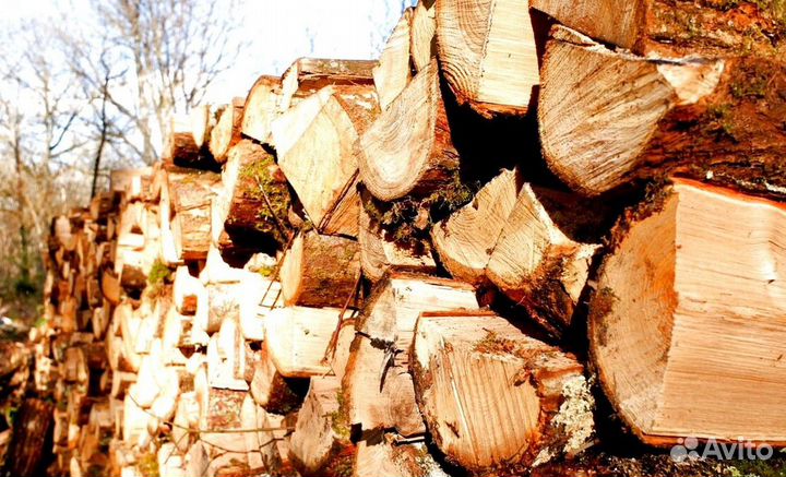 Дрова ольха от производителя