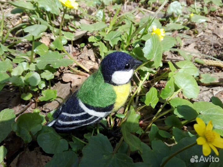 Войлочная синица