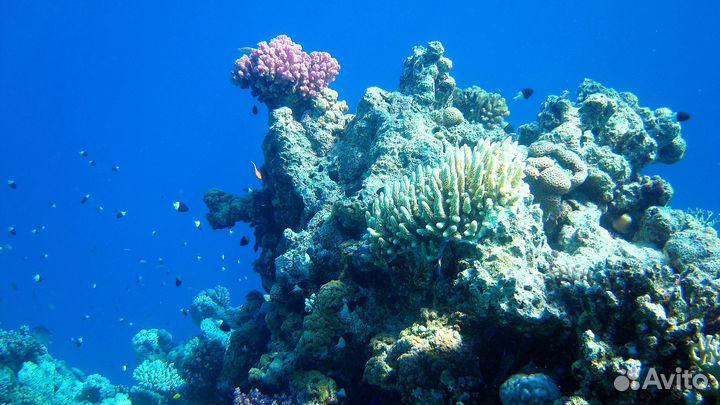 Бокс для камеры + камера Sony dsc-w90