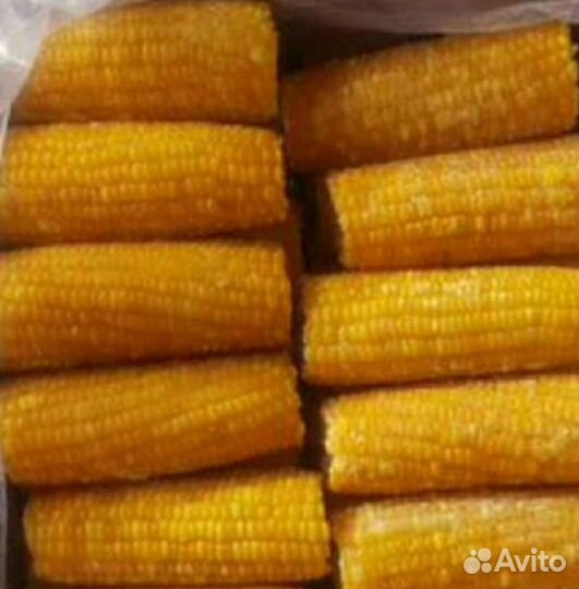 Кукуруза