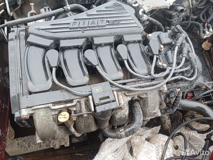 Бронепровода высоковольтные провода fiat brava 1.6