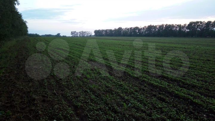 Участок 121,34 га (СНТ, ДНП)