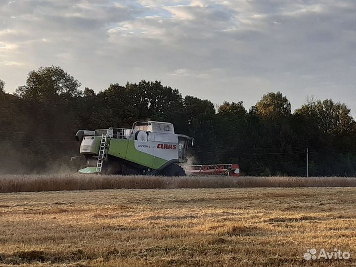 Действующее сельхозпредприятие
