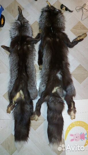 Шкура чернобурки