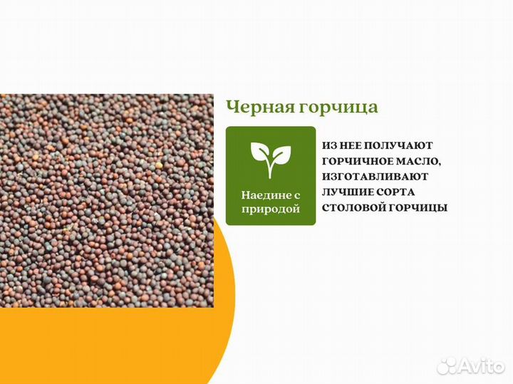 Чёрная горчица (кг)