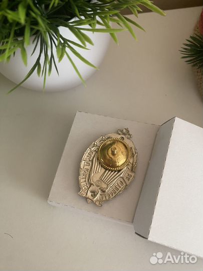 Нагрудный знак за отличную службу в мвд 2 степени
