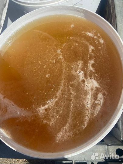 Мёд Цветочный оптом