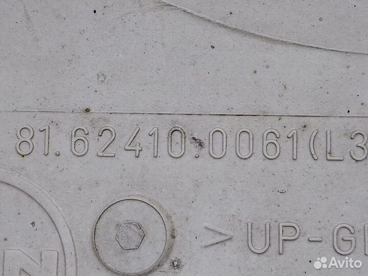 Декоративная накладка лобового стекла лев. MAN TGA