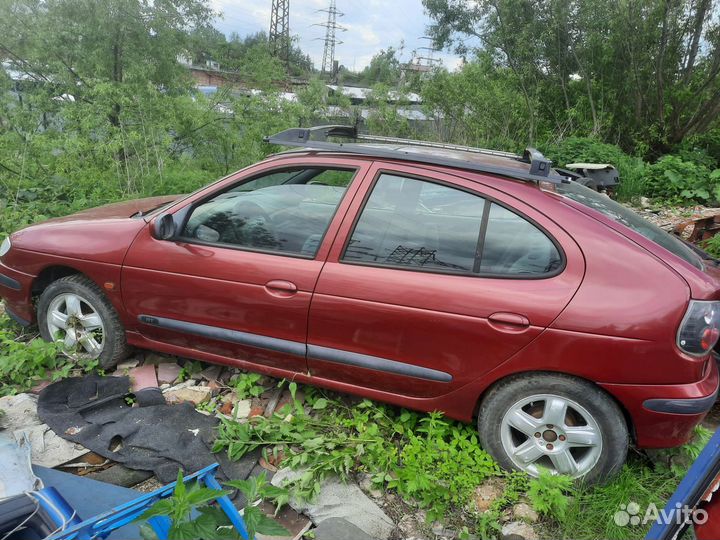 Разбор Рэно Меган