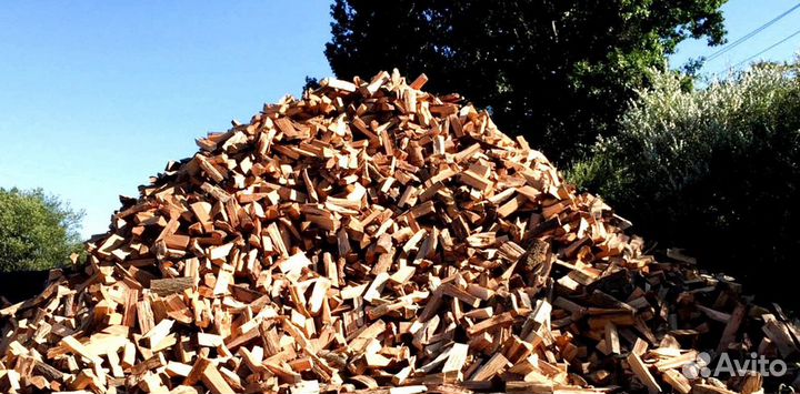 Дрова лиственные