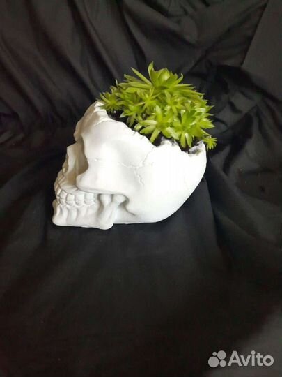 Череп кашпо