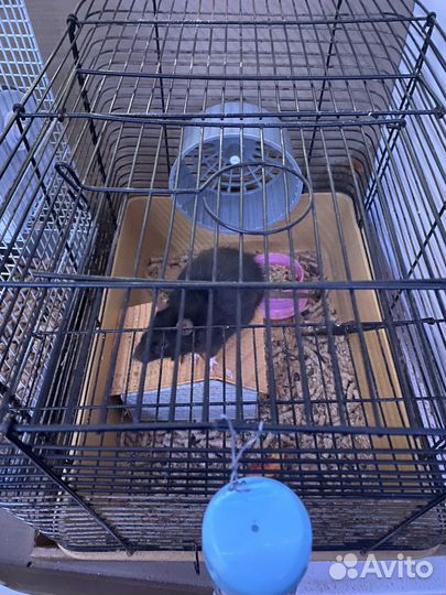 Клетка для грызунов