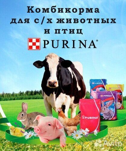 Комбикорма Purina для с/х животных