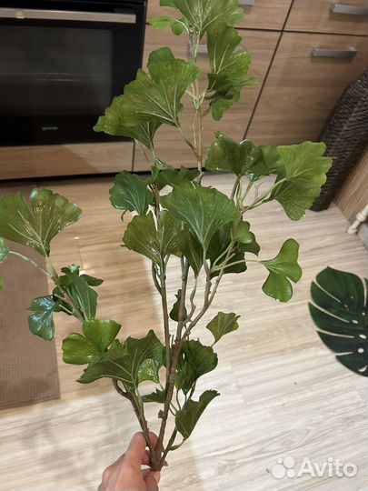 Искусстренное растение