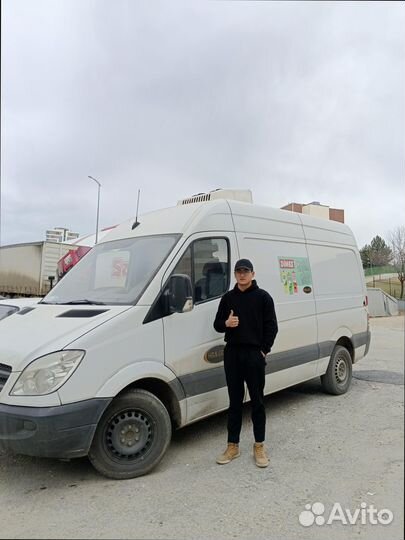 Переезды на север от 200км и 200кг