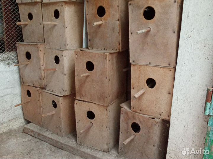 Домик для попугаев