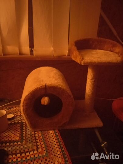 Когтеточка