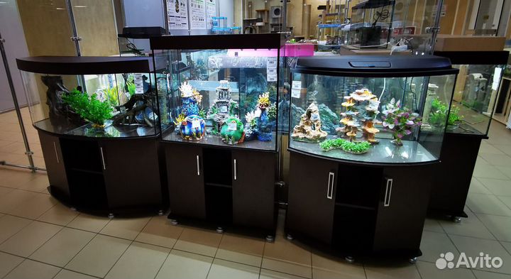 Аквариумы в наличии и на заказ