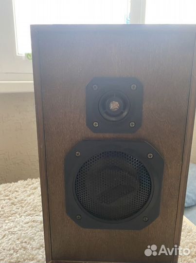 Колонки радиотехника s 30а