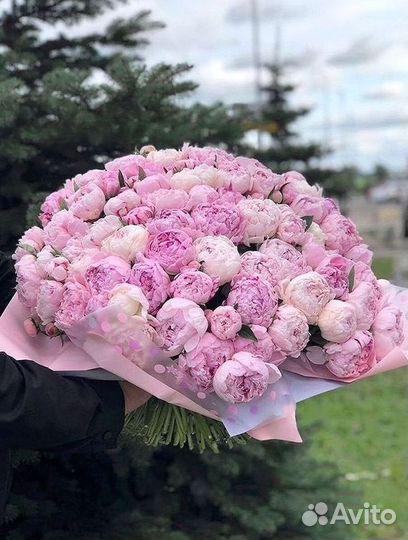 Пионы Букет пионов Доставка цветов