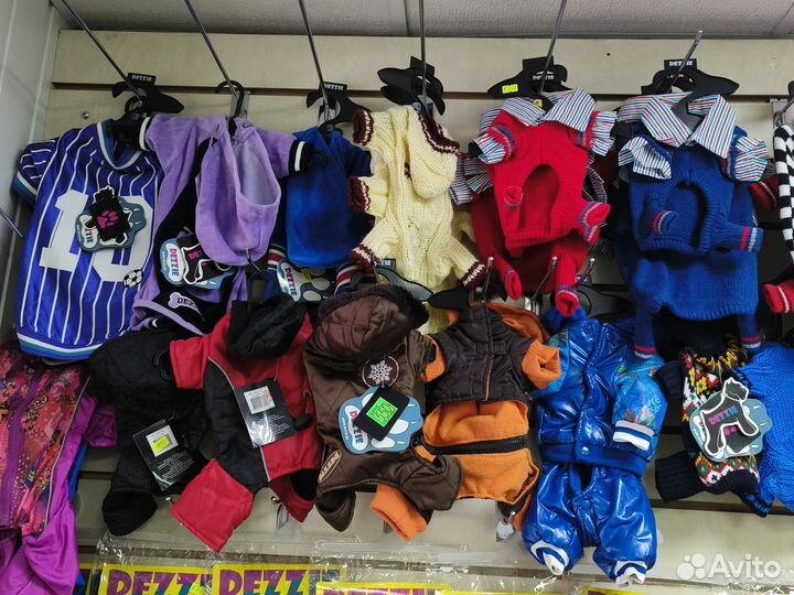 Одежда и аксессуары для ваших питомцев