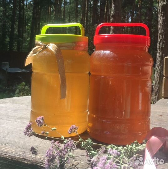 Продам свежий мед