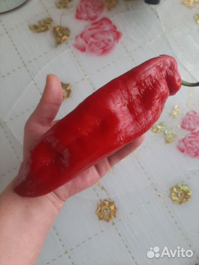 Семена перца палермо