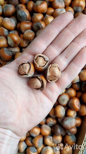 Миндаль мягкий, сладкий. Фундук Крым, грецкий, Мёд