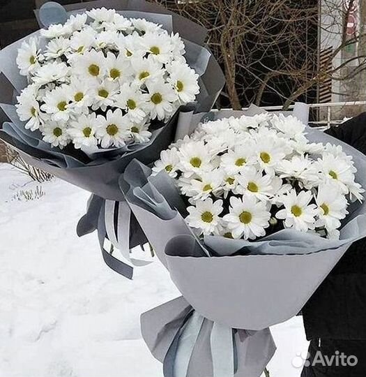 Доставка букетов и цветов. Хризантема