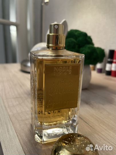 Nobile 1942 Cafe Chantant