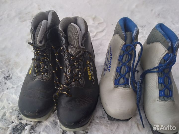 Беговые лыжи