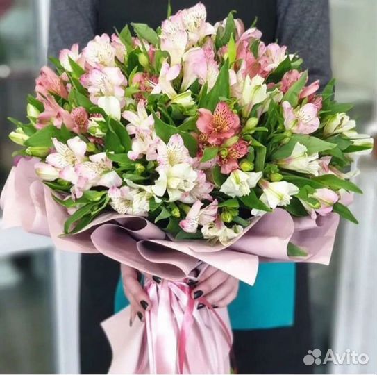 Альстромерия