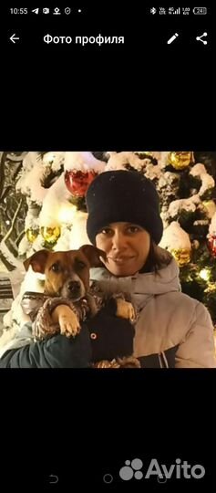 Администратор