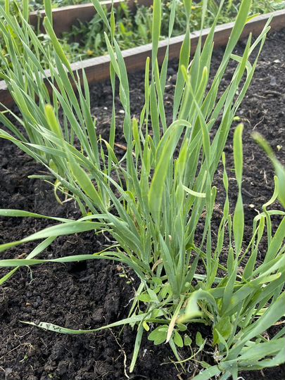 Дом 64,5 м² на участке 10 сот.