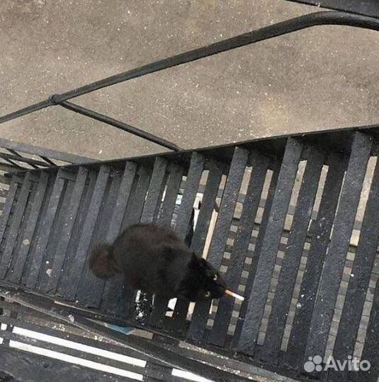 Продвину канал ютуб