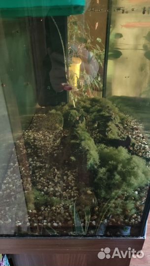 Аквариум с тумбой 180л