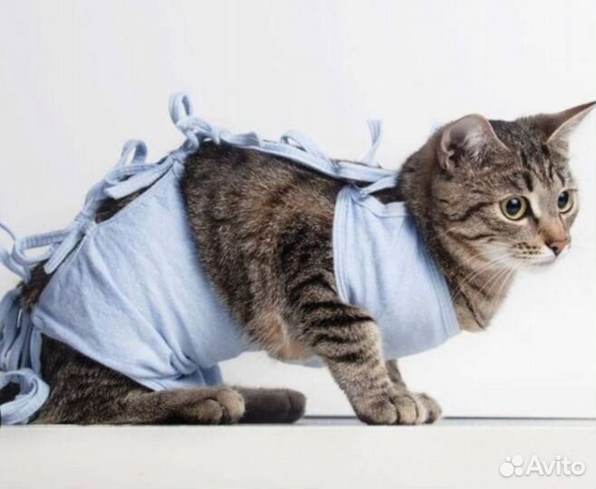 Попона новая для кошки 4-8 кг
