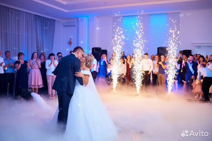 Ведущий на свадьбу + Dj с оборудованием