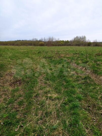 Участок 30 сот. (ИЖС)