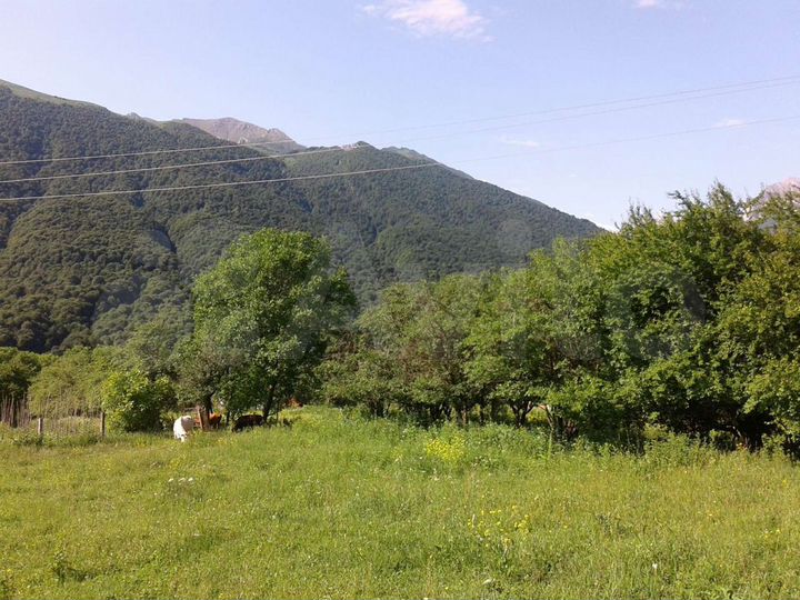 Участок 80 сот. (ИЖС)