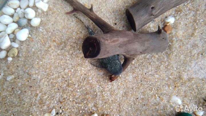 Аквариум 35л