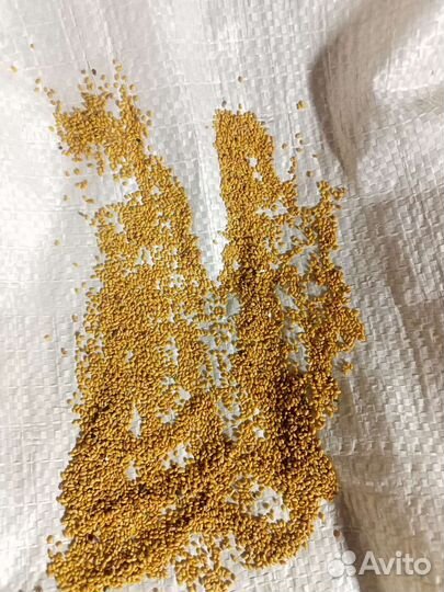 Семена тимофеевка, эспарцет