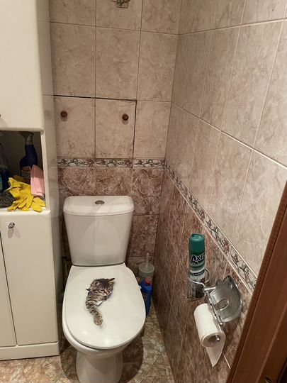 3-к. квартира, 62,9 м², 3/5 эт.