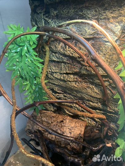 Террариум 60х45х90