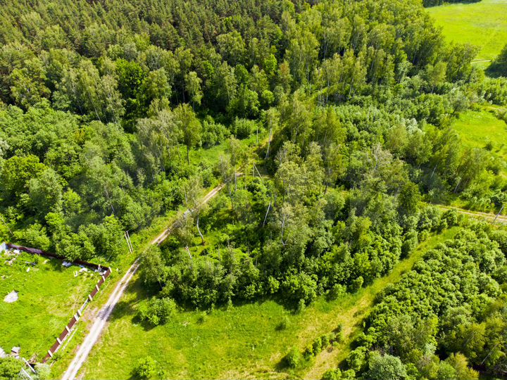 Участок 10 сот. (ИЖС)