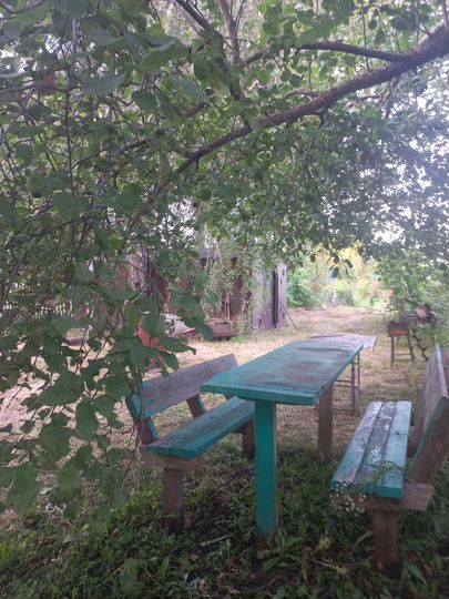 Дом 65 м² на участке 32,7 сот.