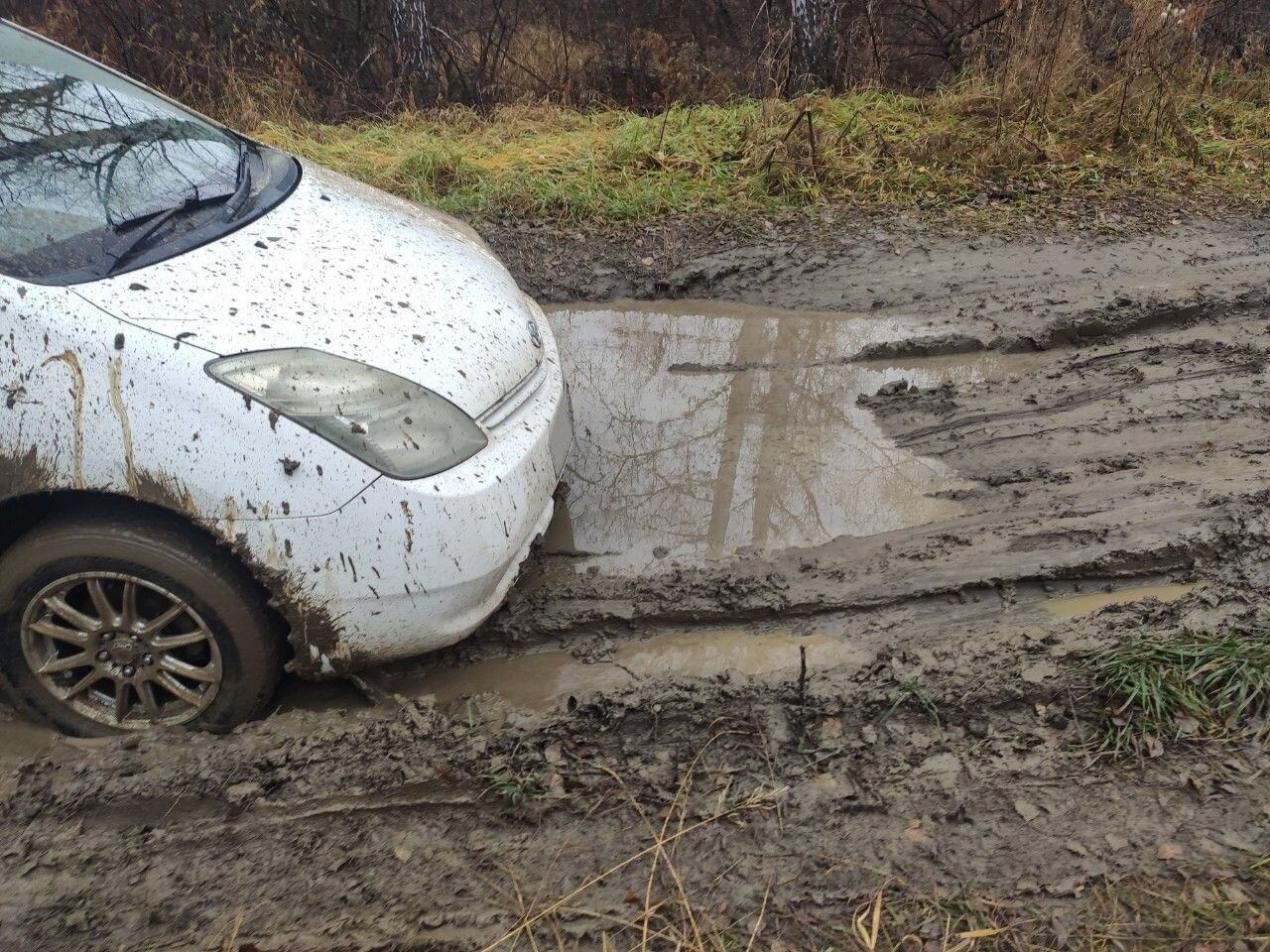 Toyota Prius: фото владельца